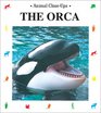 The Orca Admiral of the Sea