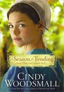 A Season For Tending (The Amish Vines and Orchards)