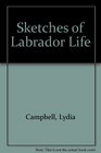 Sketches of Labrador Life