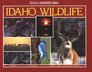 Idaho Wildlife