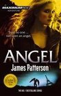 Angel (Maximum Ride, Bk 7)