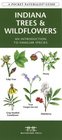 Indiana Trees  Wildflowers An Introduction to Familiar Species