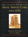 Basic and Clinical Anatomy of the Spine Spinal Cord and Ans
