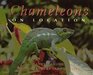 Chameleons On Location