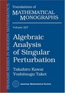 Algebraic Analysis of Singular Perturbation Theory