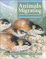 Animals Migrating How When Where and Why Animals Migrate