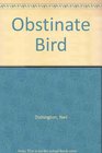 Obstinate Bird