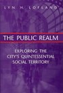 The Public Realm Exploring the CityS Quintessential Social Territory