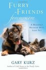 Furry Friends Forevermore A Heavenly Reunion with Your Pet