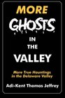More Ghosts in the Valley More True Hauntings In the Delaware Valley