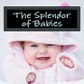 The Splendor of Babies A Picture Book for Seniors Adults with Alzheimer's and Others