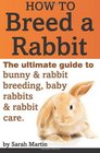 How to Breed a Rabbit The Ultimate Guide to Bunny and Rabbit Breeding Baby Rabbits and Rabbit Care