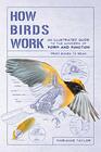 How Birds Work An Illustrated Guide to the Wonders of Form and Functionfrom Bones to Beak