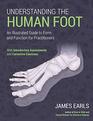 Understanding the Human Foot An Illustrated Guide to Form and Function for Practitioners