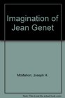 Imagination of Jean Genet