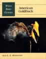 American Goldfinch (Wild Bird Guides)