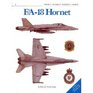 F/A18 Hornet
