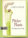 Pitcher Plants The Elegant Insect Traps