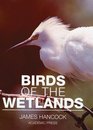 Birds of the Wetlands