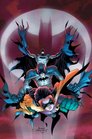 Absolute Batman & Robin: Batman Reborn