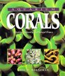 Aquarium Corals  Selection Husbandry and Natural History