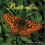 Butterflies 2007 Wall Calendar