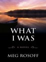 What I Was (Thorndike Press Large Print Core Series)