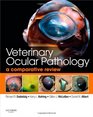 Veterinary Ocular Pathology A Comparative Review
