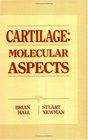 Cartilage Molecular Aspects