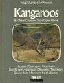 Kangaroos and Other Creatures from Down Under