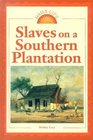 Daily Life  Slaves on a Southern Plantation