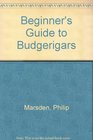 Beginner's Guide to Budgerigars