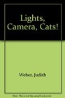 Lights Camera Cats