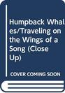 Humpback Whales/Traveling on the Wings of a Song