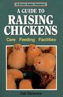 A Guide to Raising Chickens Care Feeding Facilities