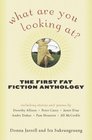 What Are You Looking At The First Fat Fiction Anthology