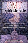 DMT The Spirit Molecule A Doctor's Revolutionary Research into the Biology of NearDeath and Mystical Experiences