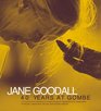 Jane Goodall  40 Years at Gombe