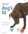 Your Dog's IQ How Clever is Your Canine