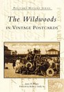 The  Wildwoods  in  Vintage  Postcards  (NJ)   (Postcard  History  Series)