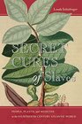 Secret Cures of Slaves People Plants and Medicine in the EighteenthCentury Atlantic World