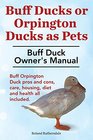 Buff Ducks or Buff Orpington Ducks as Pets Buff Duck Owner's Manual Buff Orpington Duck Pros and Cons Care Housing Diet and Health All Included