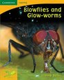 Pobblebonk Reading 44 Blowflies and Glow Worms