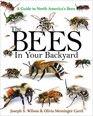 The Bees in Your Backyard A Guide to North America's Bees