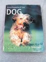 Encyclopedia of the Dog