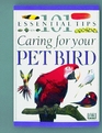 101 Essential Tips Caring For Your Pet Bird