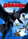 How to Train Your Dragon Volume 2
