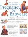 The Practical Encyclopedia Of  Pregnancy & Babycare