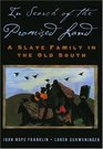 In Search Of The Promised Land A Slave Family In The Old South