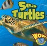 Sea Turtles (Wow World of Wonder)